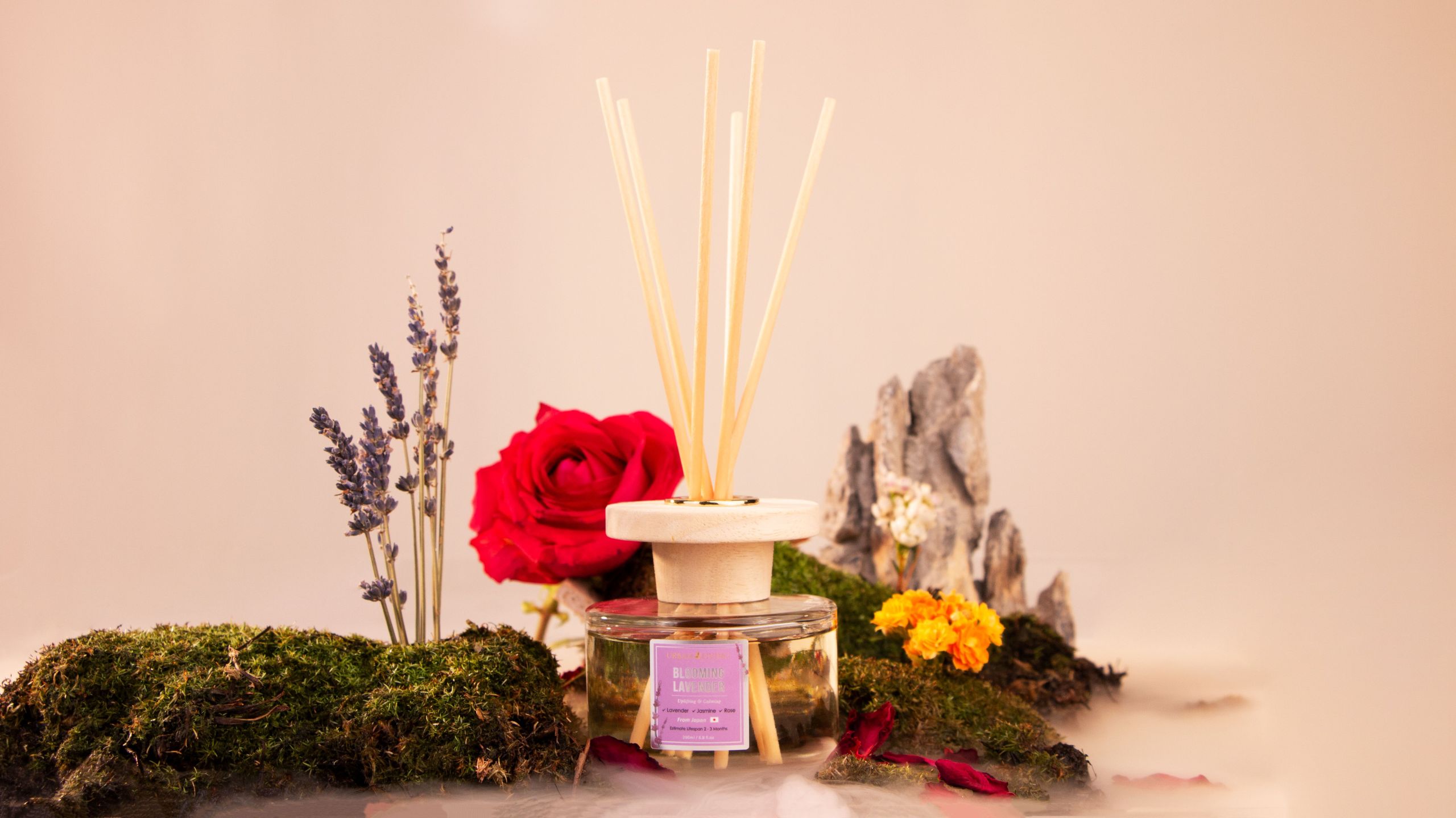 200ml Blooming Lavender