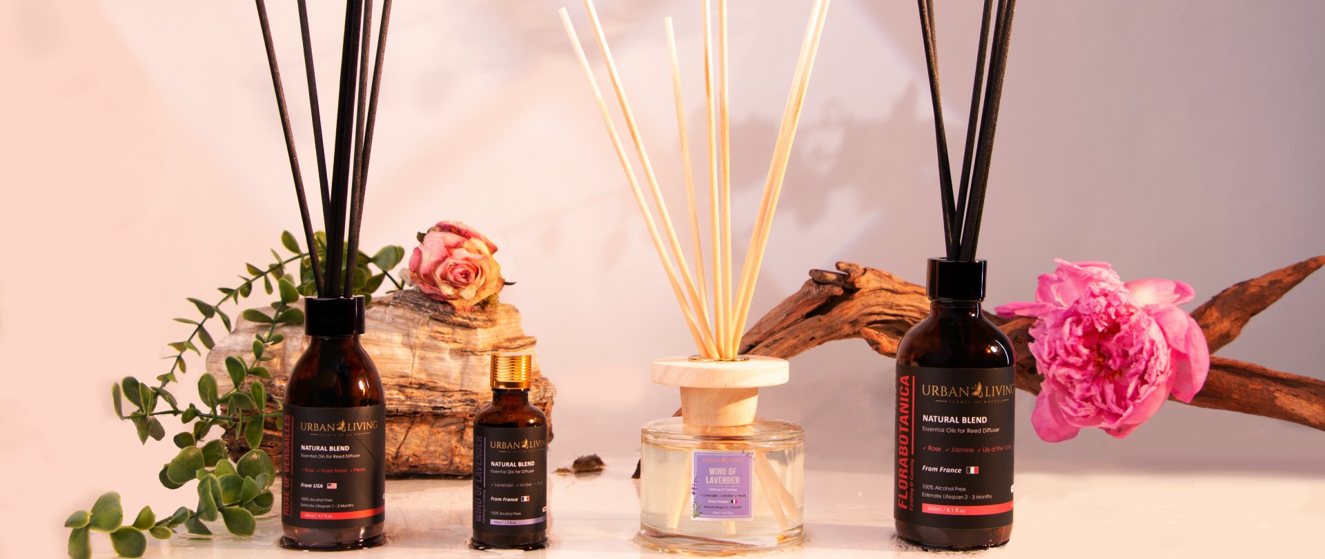 Calming Aromatherapy English 1920 810